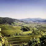 Pflugwirts Und Oberkirch (Baden)