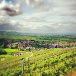 Pflugwirts Und 3* Oberkirch (Baden)