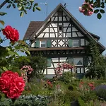 Pflugwirts Und Hotel 3*