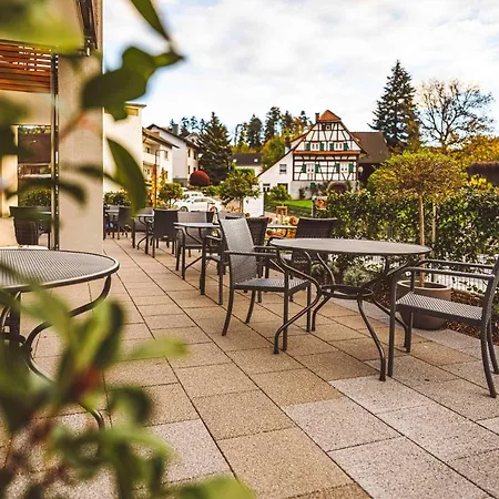 Hotel Pflugwirts Und 3*