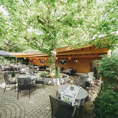 Hotel Pflugwirts Und Oberkirch (Baden)