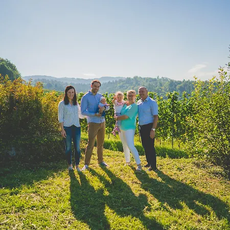 Pflugwirts Und 3* Oberkirch (Baden)