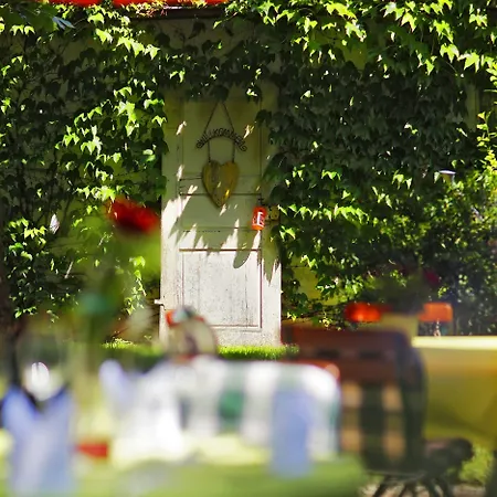 Pflugwirts Und Hotel Oberkirch (Baden)