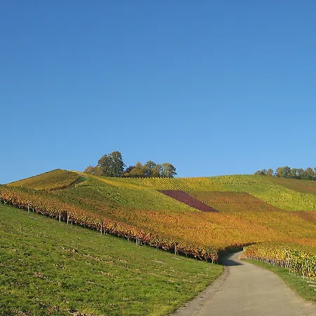 Hotel Pflugwirts Und 3*