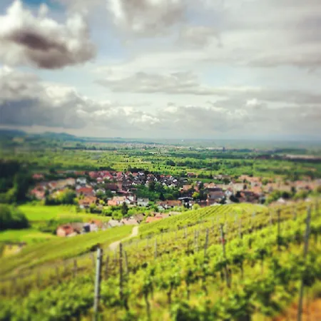 Pflugwirts Und 3* Oberkirch (Baden)