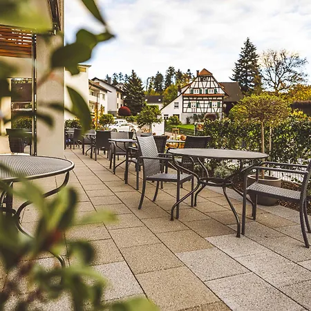 Pflugwirts Und 3* Oberkirch (Baden)