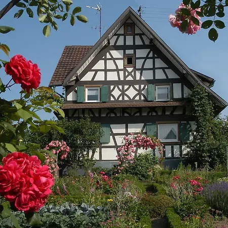 Pflugwirts Und Hotel 3*