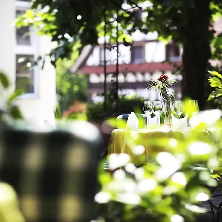 Pflugwirts Und Hotel 3*