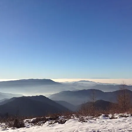 Pflugwirts Und Hotel 3*