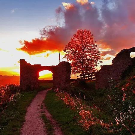 Pflugwirts Und 3* Oberkirch (Baden)