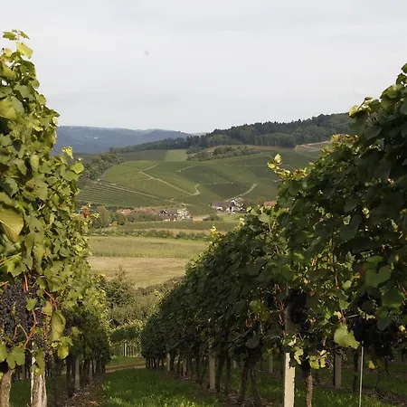 Pflugwirts Und Hotel Oberkirch (Baden)